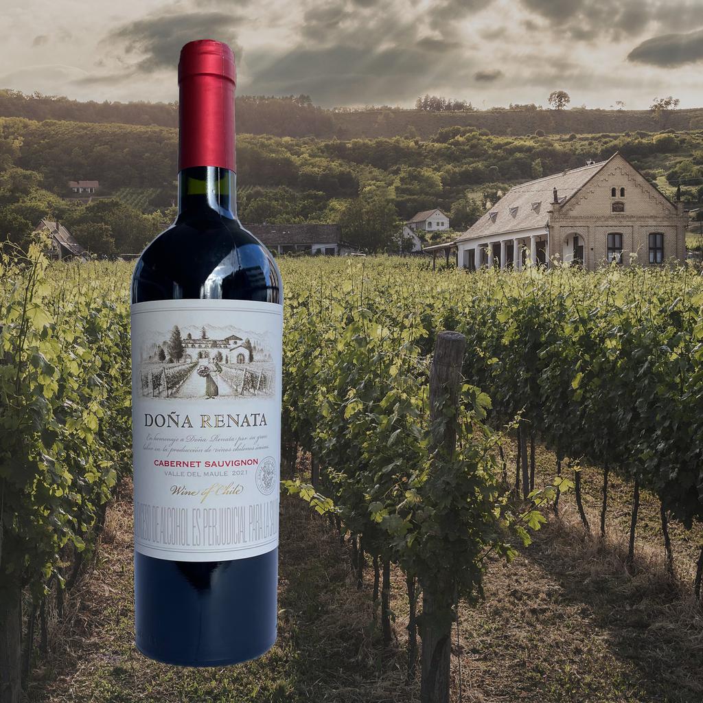 Doña Renata Vino Tinto Cabernet Sauvignon 750 ml - Imagen 3